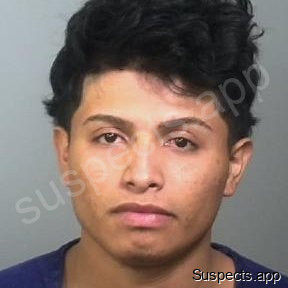 Reyes Banegas, Bryan Onel