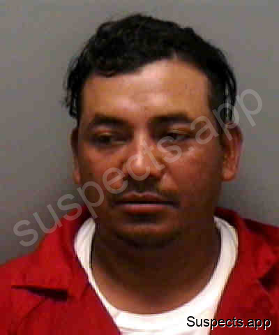 Tino, Carlos Hernandez