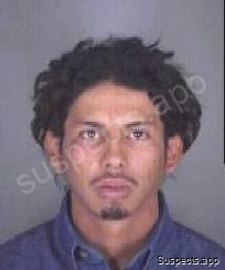 Lynch, Cesar Mayo