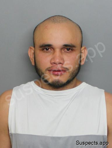 Mayorga Murillo, Darwin
