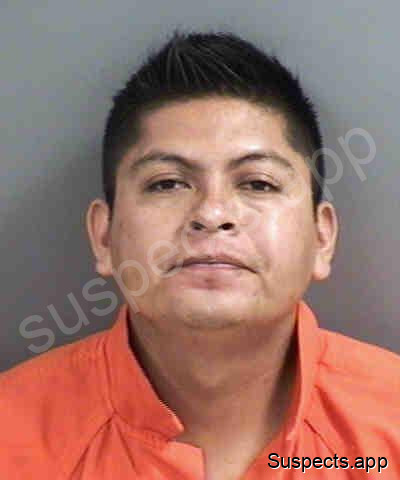 Angel, Dax Corona
