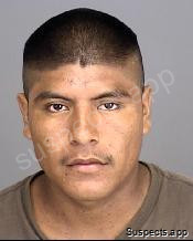 Torres, Delfino