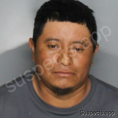 Pacheco Sarat, Diego Timoteo