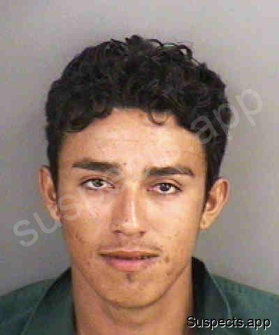 Alcerrao, Eli Evener