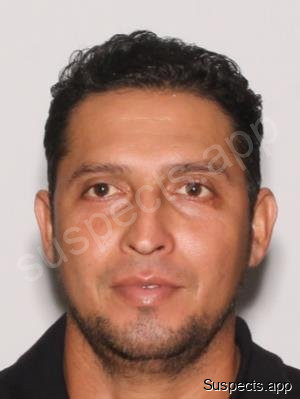 Lagos-villatoro, Enecidio Naved