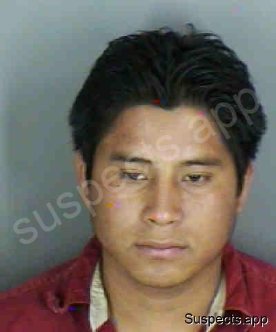 Meza, Fernando