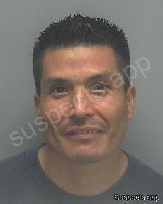 Velasquez, Fredy Sansoni