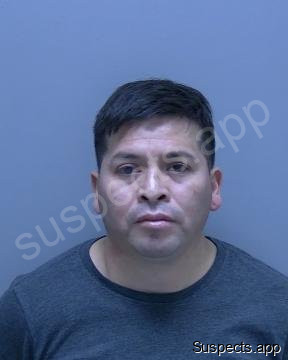 Arellano Morales, Guillermo