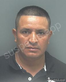 Cruz, Hernandez