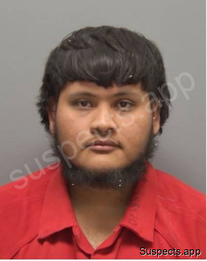Alvarado Ramos, Hugo