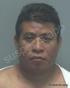 Morales Rojas, Jerver