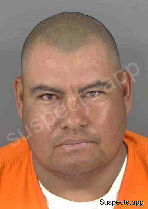 Ortizortiz, Jose