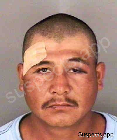 Paulino, Jose