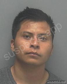 Avendano, Luis