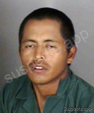 Francisco, Manuel Sebastian