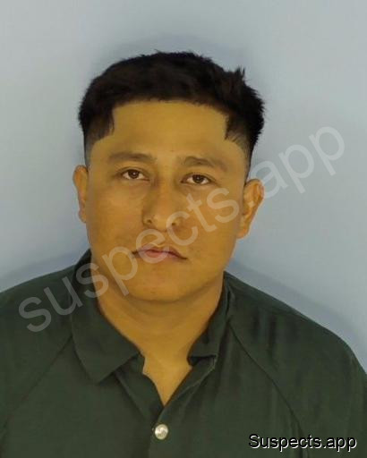 Mendez Mendoza, Manuel