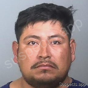Mendezbravo, Marvin Marin