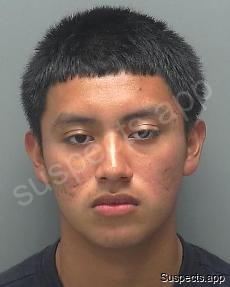 Juan Perez, Mateo