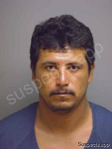 Hernandez, Miguel