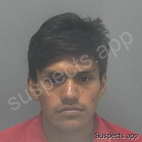 Miguel Jose, Miguel Diego
