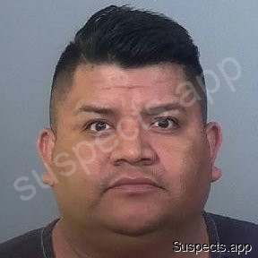 Tejedasalazar, Miguel Angel