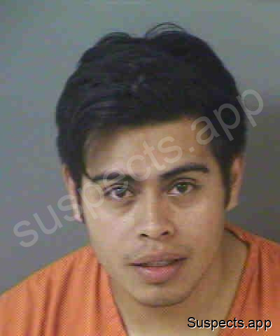 Ramirezgonzalez, Moises David
