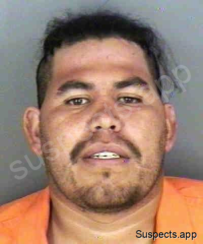 Alcocer, Octavio