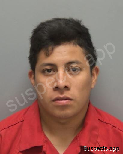 Ramirez Ramirez, Olguer