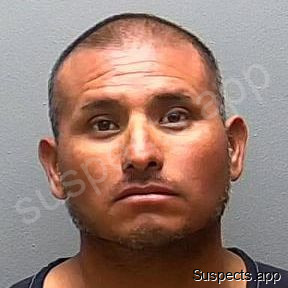 Marianohernandez, Oliverio
