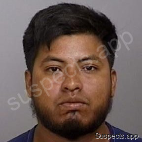 Luisgomez, Ovidio