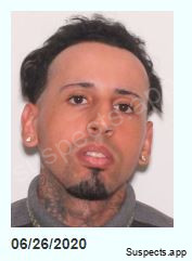 Vargas Santiago, Reinaldo