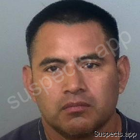 Pedrotomas, Roberto