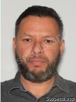 Marquez Castaneda, Roque