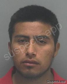 Sebastian Felipe, Sebastian Felipe