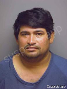 Alvarado, Tomas