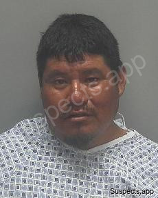Vasquez Gonzalez, Tomas