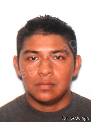 Tomas Pedro, Willy