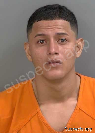 Torunovelasquez, Wilmer