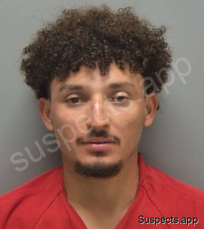 Salmeron Blandon, Yelsing Martin