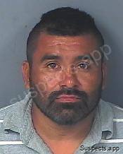 Mejia-hernandez, Abel