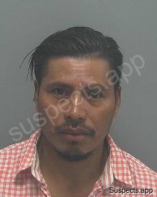 Lux Pacheco, Alberto