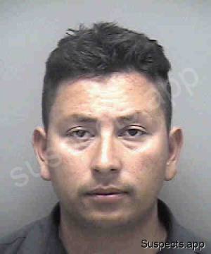 Silva, Alejandro Tellez