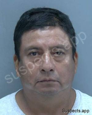 Tiul-pop, Antonio