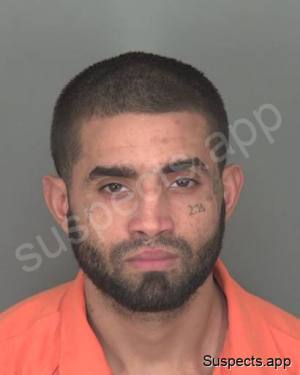 Melendez, Danilo Jr