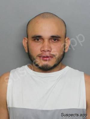 Mayorga Murillo, Darwin
