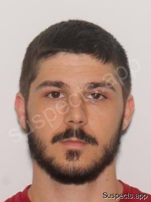 Marchese, David Christopher