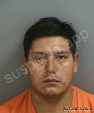 Valesquez, David T