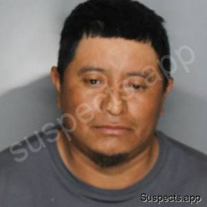 Pacheco Sarat, Diego Timoteo