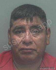 Cruz Ventura, Domingo