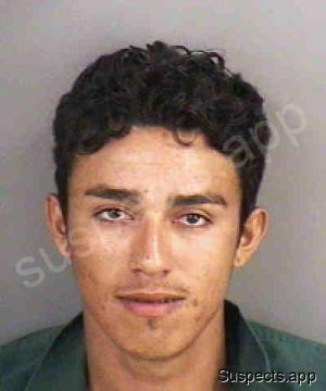 Alcerrao, Eli Evener